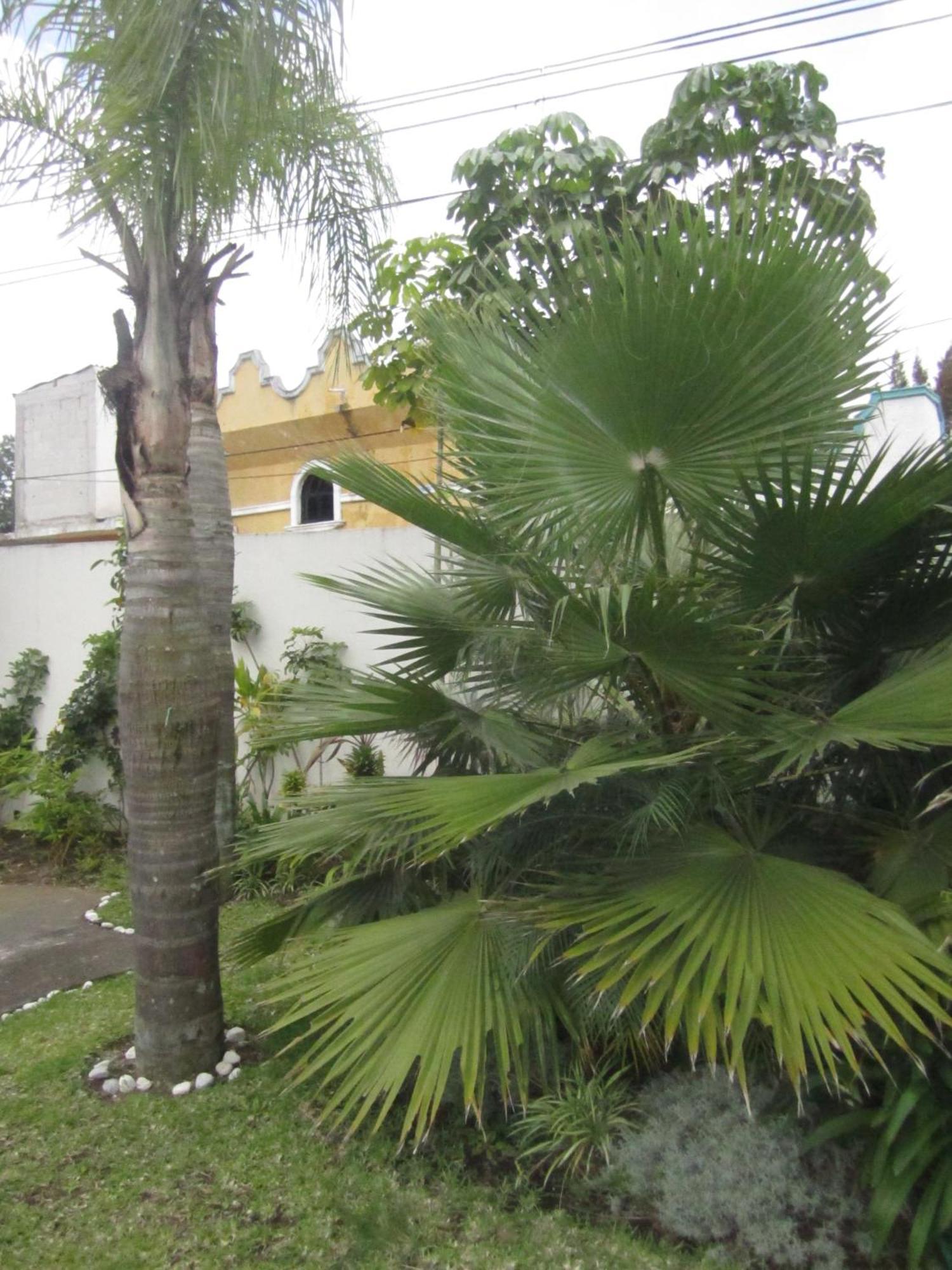 Auto Hotel Mediterraneo Xalapa Exterior foto
